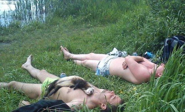 Net stuff - dailypicdump106864003.jpg